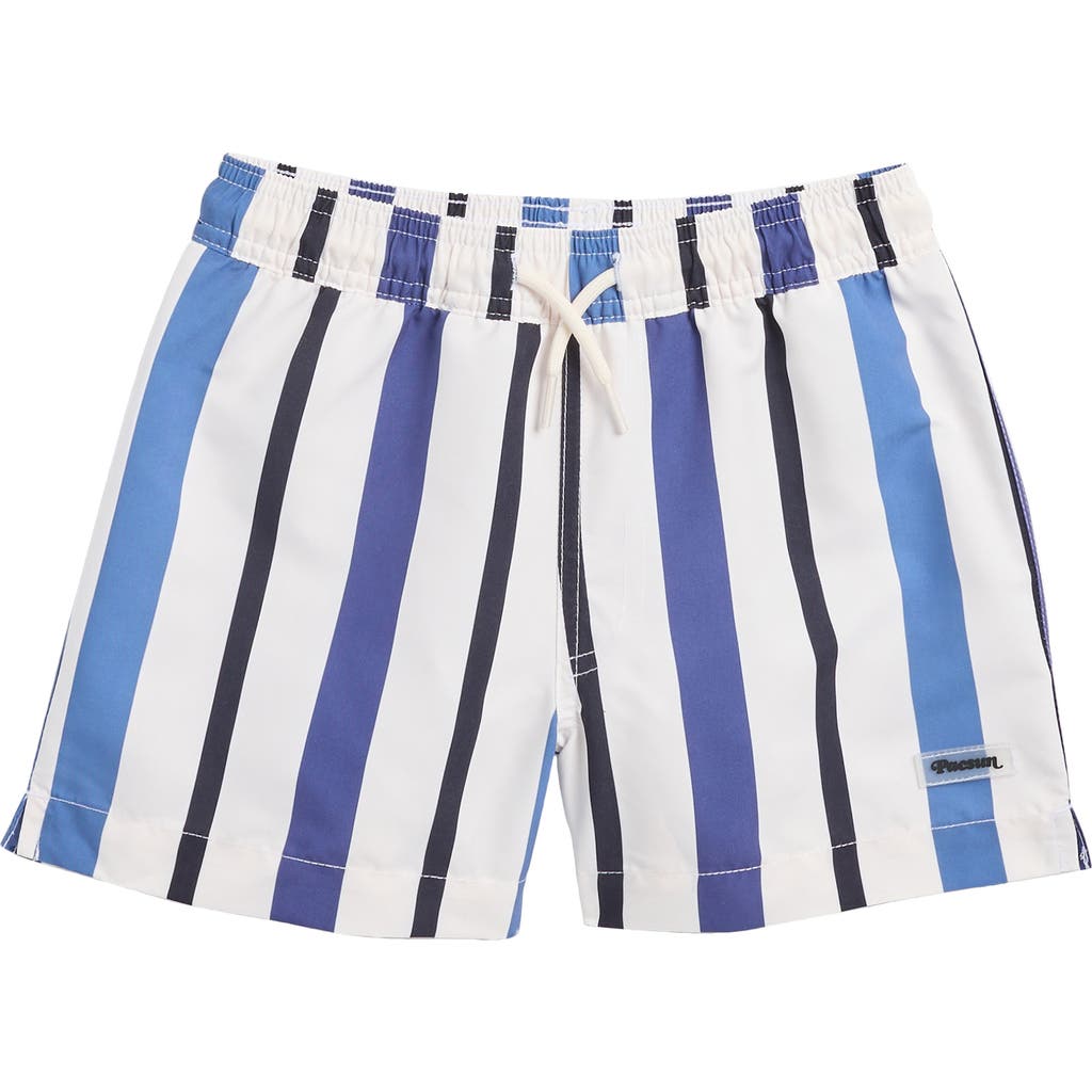 Pacsun Kids' Stripe Board Shorts In Blue/white Stripe