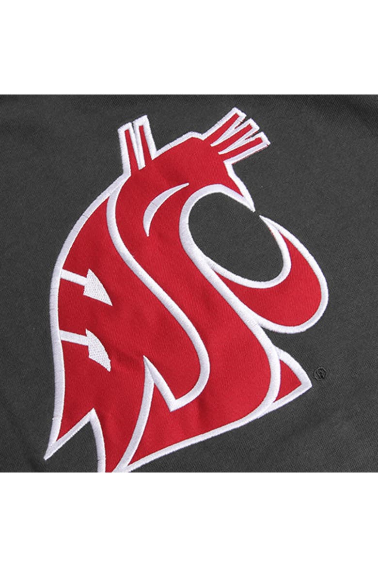 Youth Stadium Athletic Charcoal Washington State Cougars Big Logo Pullover Hoodie, Alternate, color, Charcoal