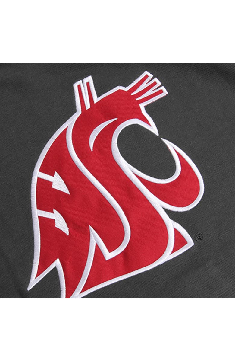 STADIUM ATHLETIC Youth Stadium Athletic Charcoal Washington State Cougars Big Logo Pullover Hoodie, Alternate, color, Charcoal