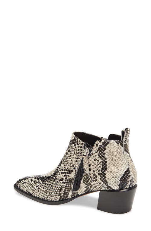 Linea Paolo Sochi Bootie In Black
