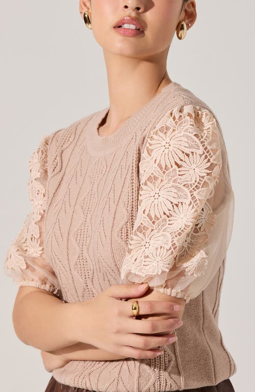Astr The Label Elzie Mixed Media Sweater In Brown