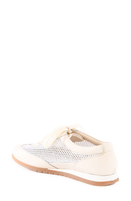 SEYCHELLES SEYCHELLES NAPLES SNEAKER