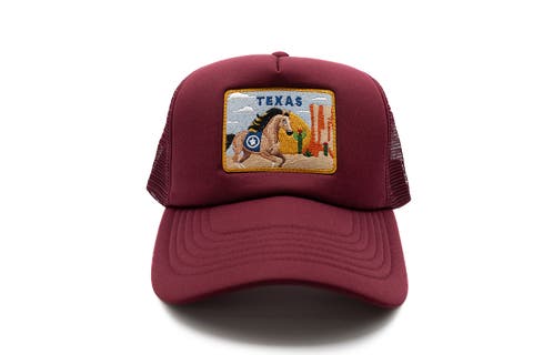 Texas Postcard Trucker Hat