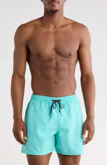 Quiksilver Everyday Volley 15-Inch Swim Trunks