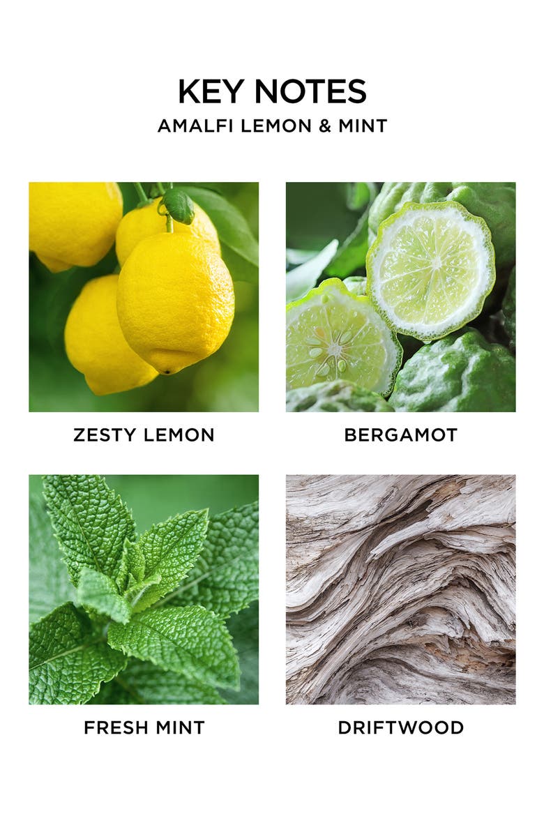 Amalfi Lemon & Mint Scented Candle, Alternate, color, NO COLOR