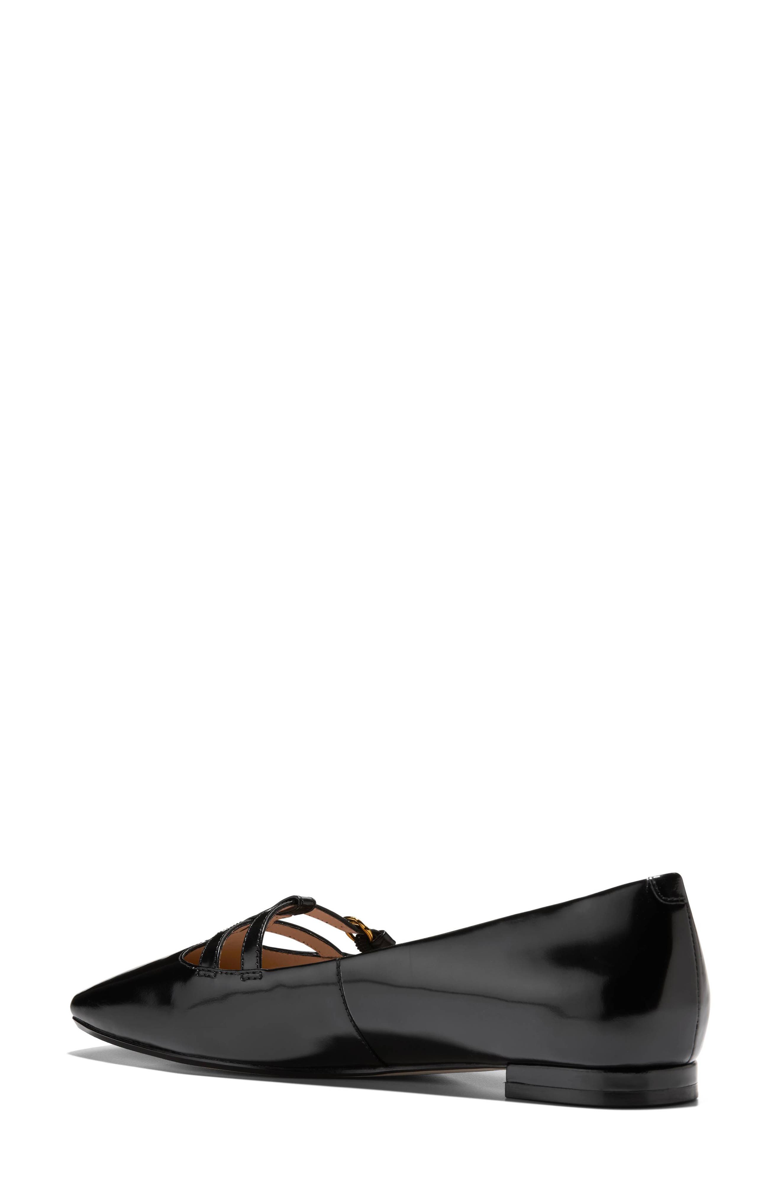 Cole Haan Bridig T-Strap Ballet Flat, Alternate, color, 