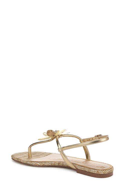 SAM EDELMAN SAM EDELMAN EDEN SLINGBACK SANDAL