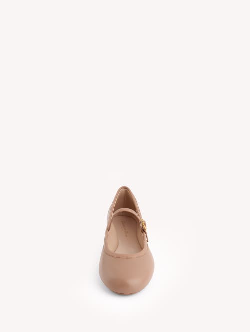 Gianvito Rossi Carla Ballet Flats In Pink