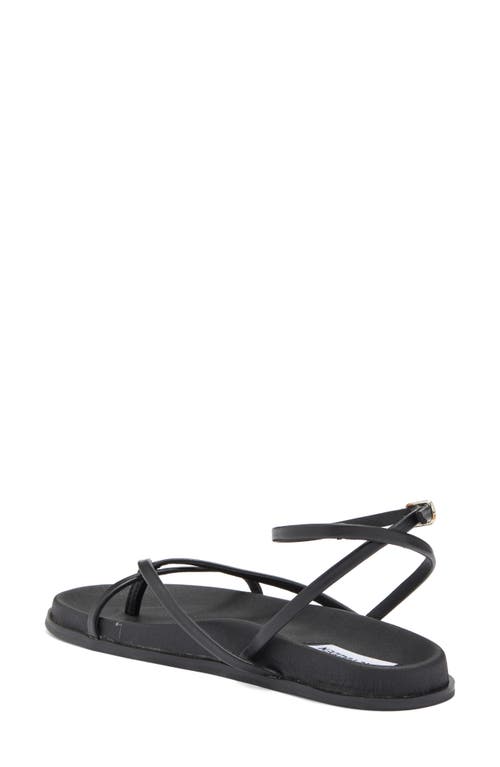 Steve Madden Lennee Sandal In Black