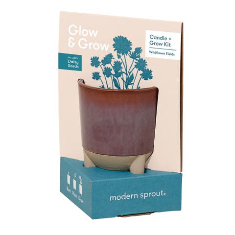 Glow & Grow Kit