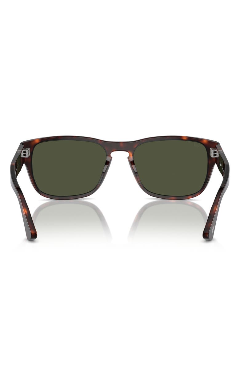 Persol 55mm Pillow Sunglasses, Alternate, color, Havana