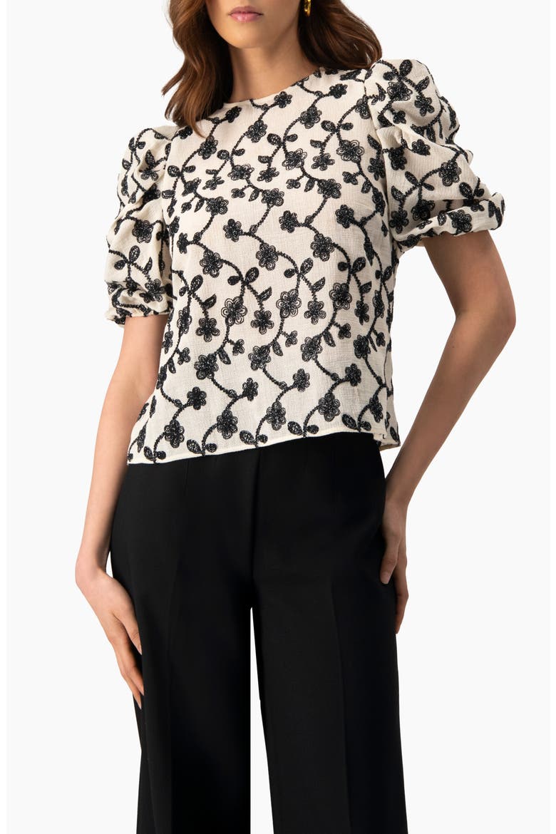 Embroidered Puff-Sleeve Blouse, Main, color, Natural