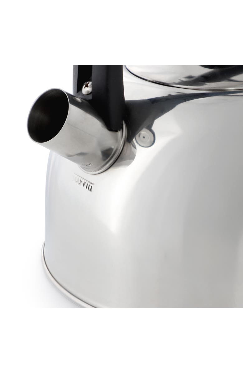 Mr. Coffee Daneswell 2.1 Quart Stainless Steel Whistling Tea Kettle, Alternate, color, Metallic Silver