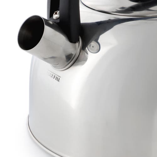 Mr Coffee Mr. Coffee Daneswell 2.1 Quart Stainless Steel Whistling Tea Kettle In Silver