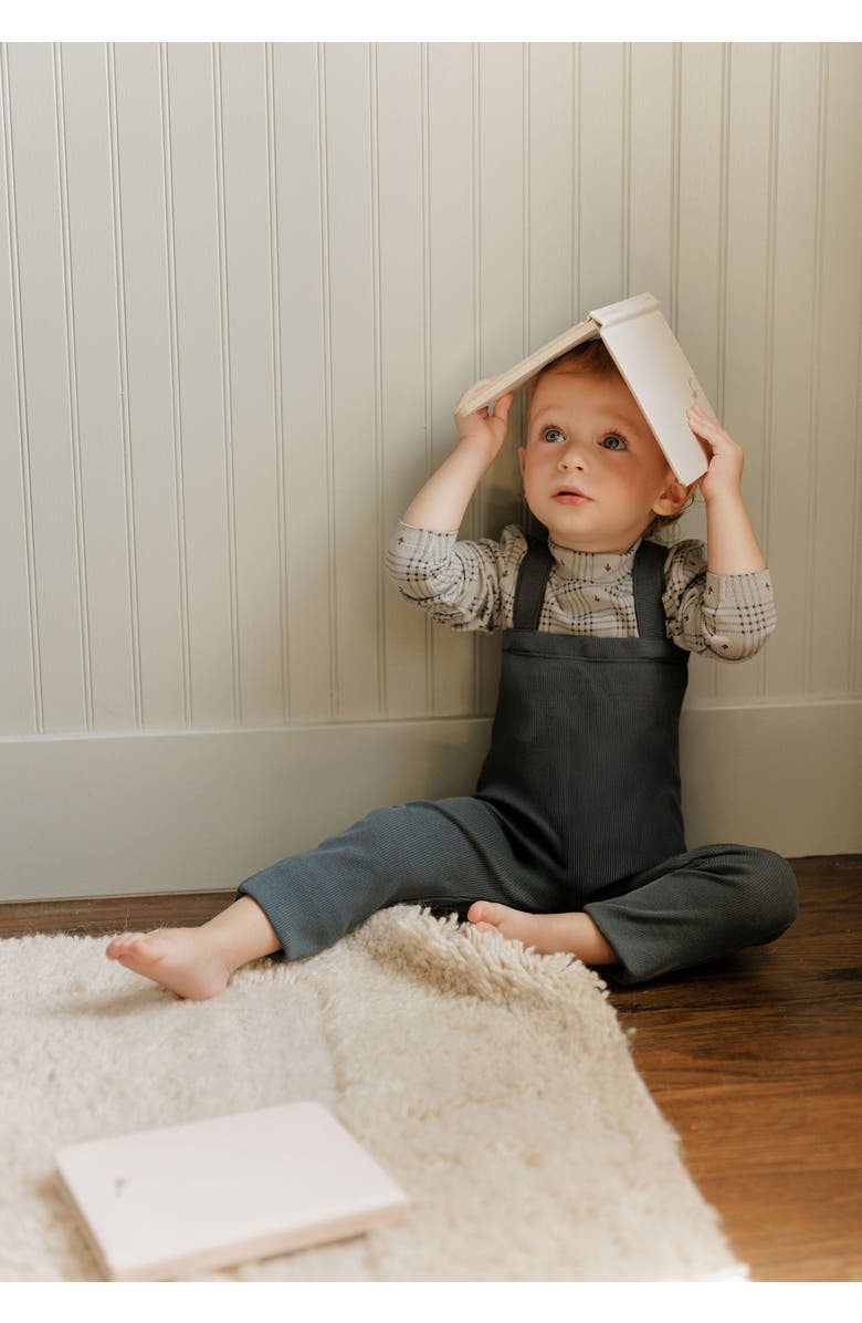 Ely
s 
Co. Cotton Floral Plaid Collection - Bodysuit + Overalls, Alternate, color, Blue