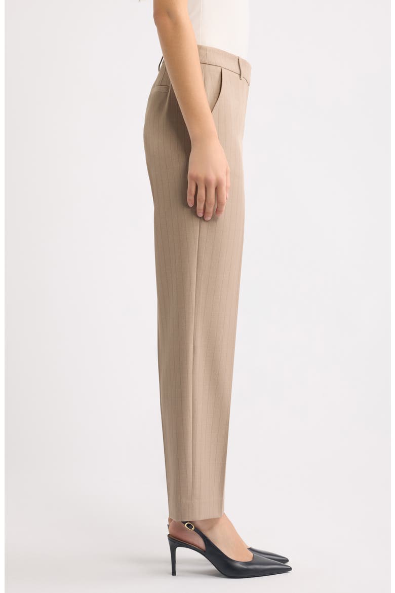 Pinstripe Straight Leg Ankle Pants, Alternate, color, NATURAL CLAY / ANNE BLACK