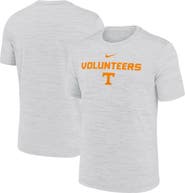 Nike Men's Nike Ash Tennessee Volunteers 2025 Sideline Velocity Performance T-Shirt