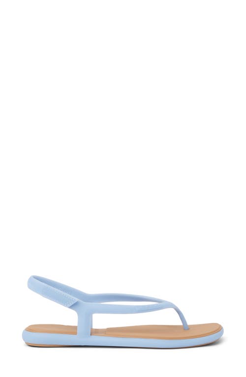 Reef Water Willow Maya Slingback Sandal In Blue