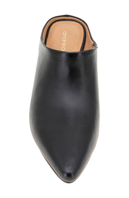 Andre Assous André Assous Wyatt Wedge Mule In Black