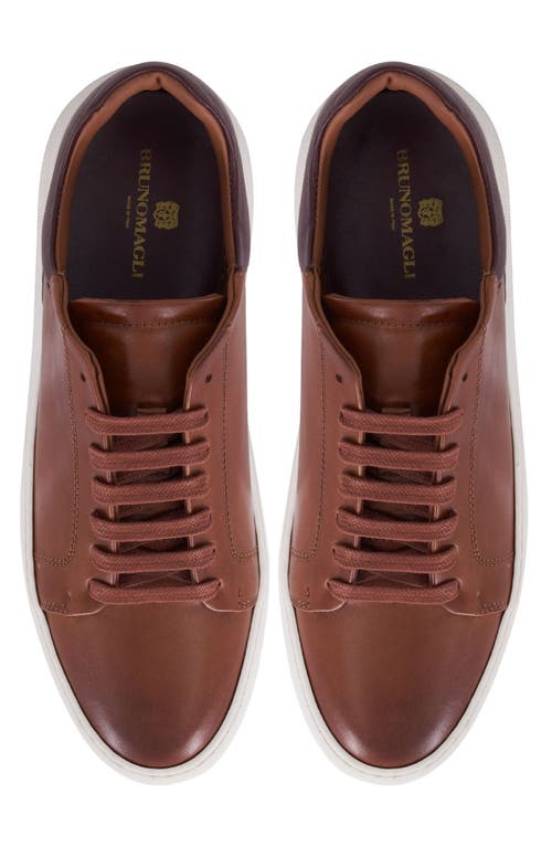 Bruno Magli Salvatore Sneaker In Cognac