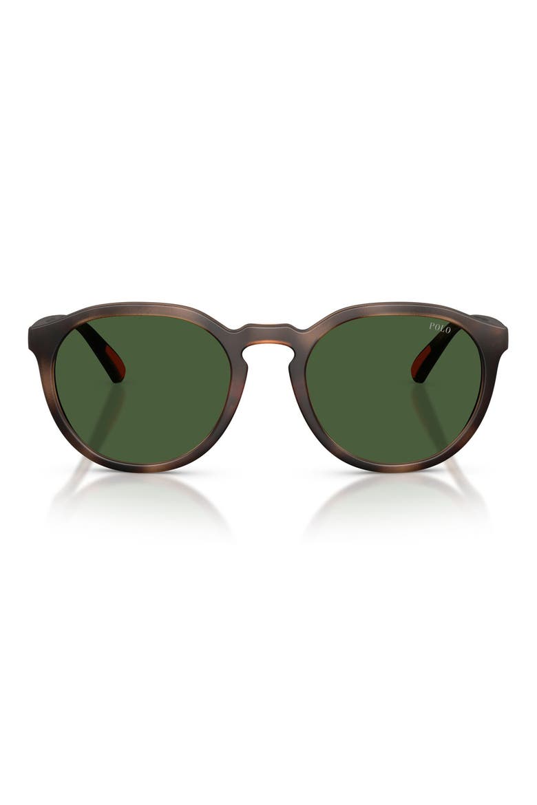 53mm Round Sunglasses, Main, color, MATTE DARK HAVANA / GREEN