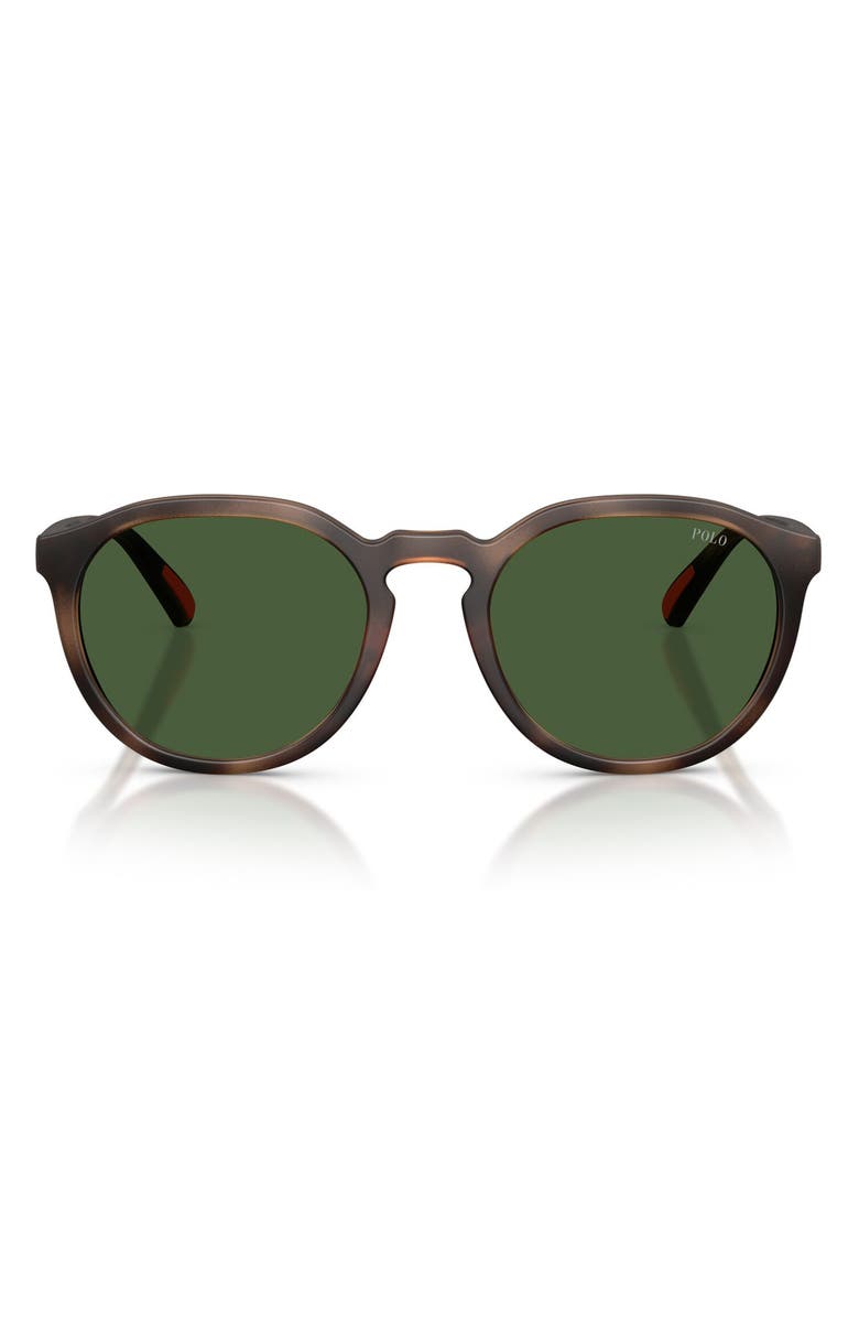 Polo Ralph Lauren 53mm Round Sunglasses, Main, color, Matte Dark Havana / Green