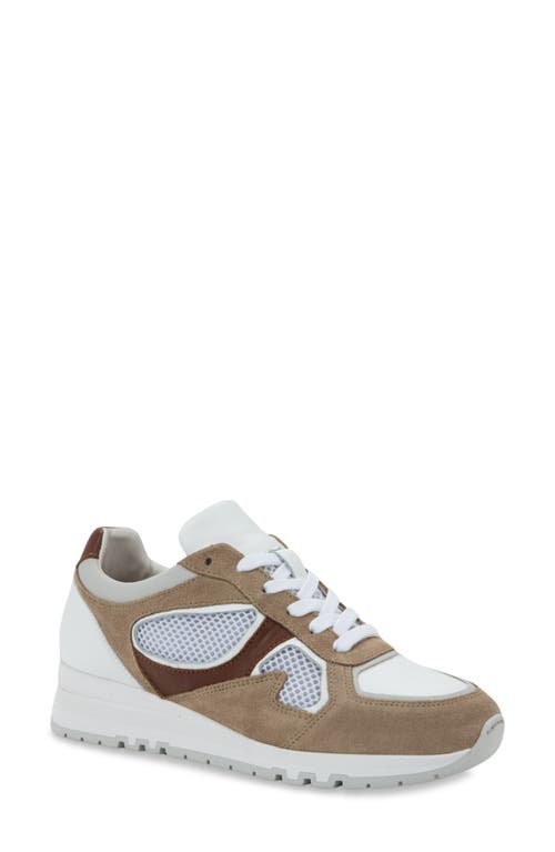 Naot Collins Sneaker In Multi