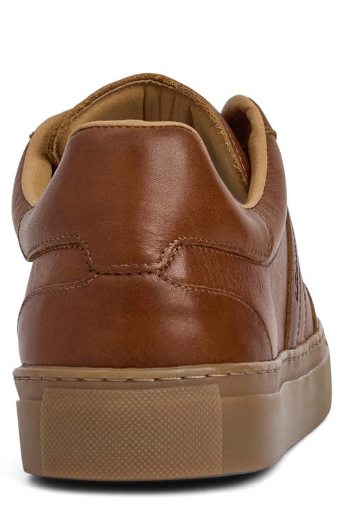 Bruno Magli Ryan Low Top Sneaker In Brown