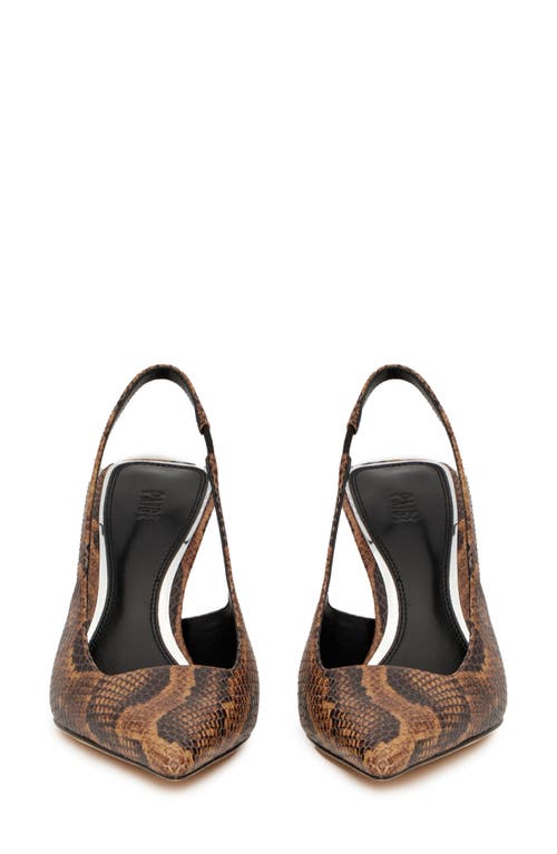 Paige Sienna Slingback Pointed Toe Pump In Brown