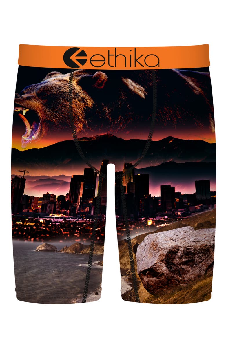 Ethika Kids' Always Primal Print Boxer Briefs, Main, color, Always Primal