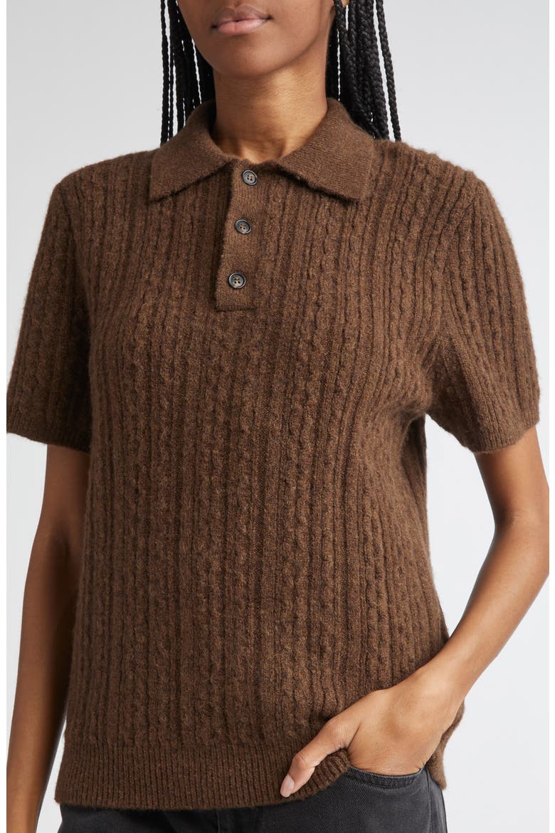 Polo Sweater, Alternate, color, BROWN