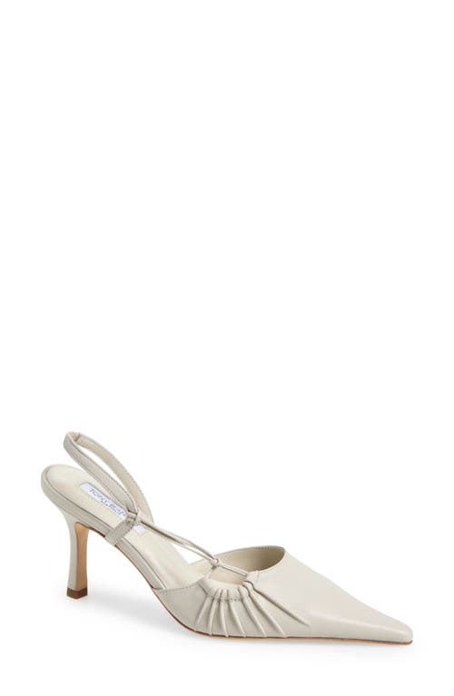 Tony Bianco Sakai Slingback Pointed Toe Pump In Dove Nappa