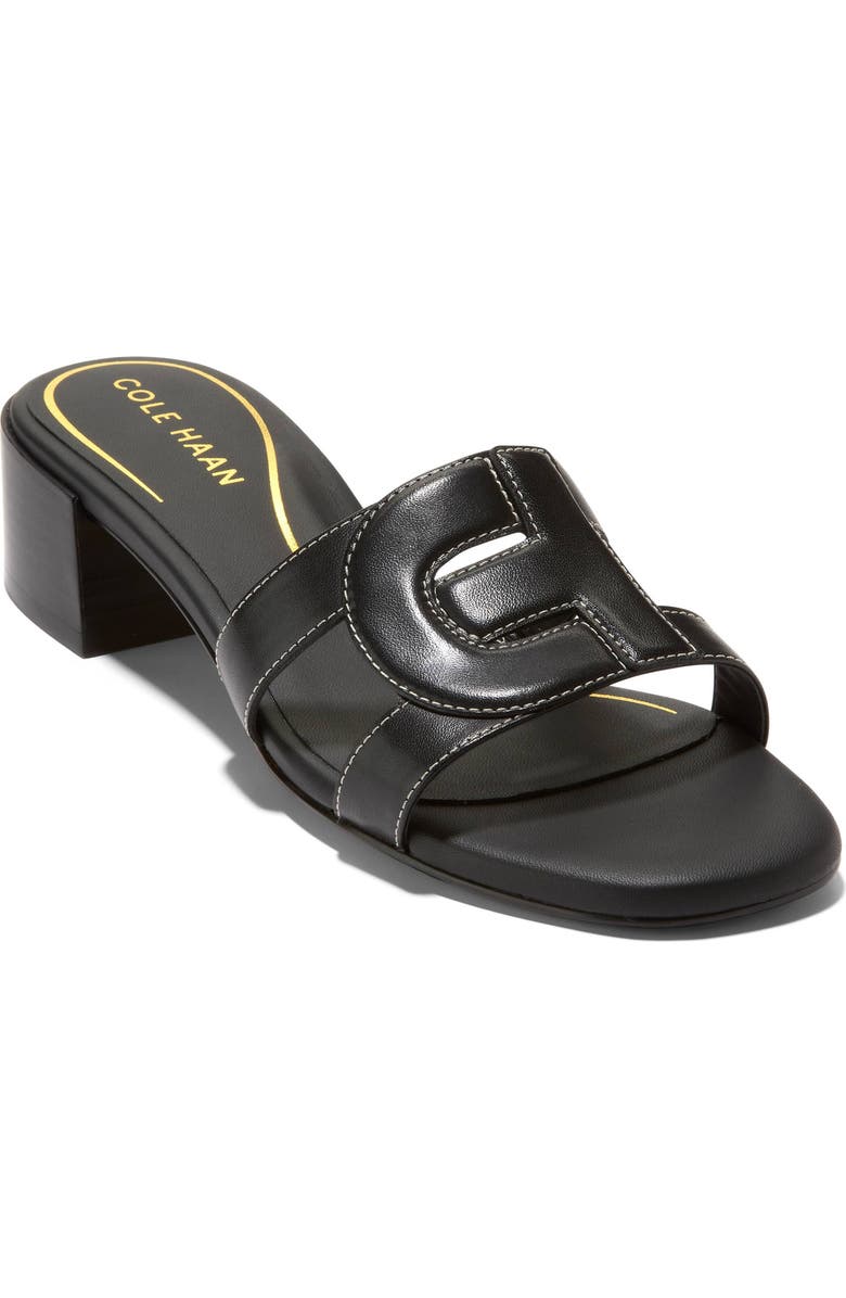 Cole Haan Chrisee Block Heel Slide Sandal, Main, color,