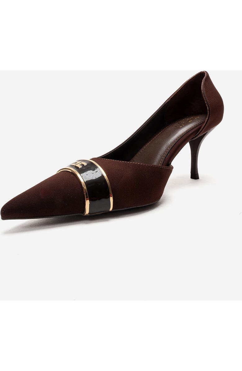 Prologue Shoes Kendra Pointed Toe Stiletto Pump, Alternate, color, Brown