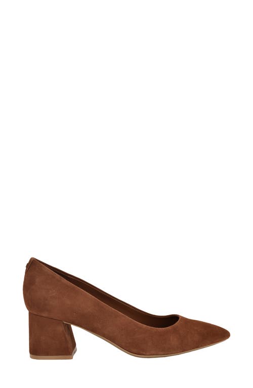 Calvin Klein Lenott Pointed Toe Pump In Brown