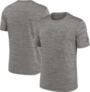Nike Men's Nike Heather Charcoal Green Bay Packers 2023 Sideline Alternate Logo Performance T-Shirt