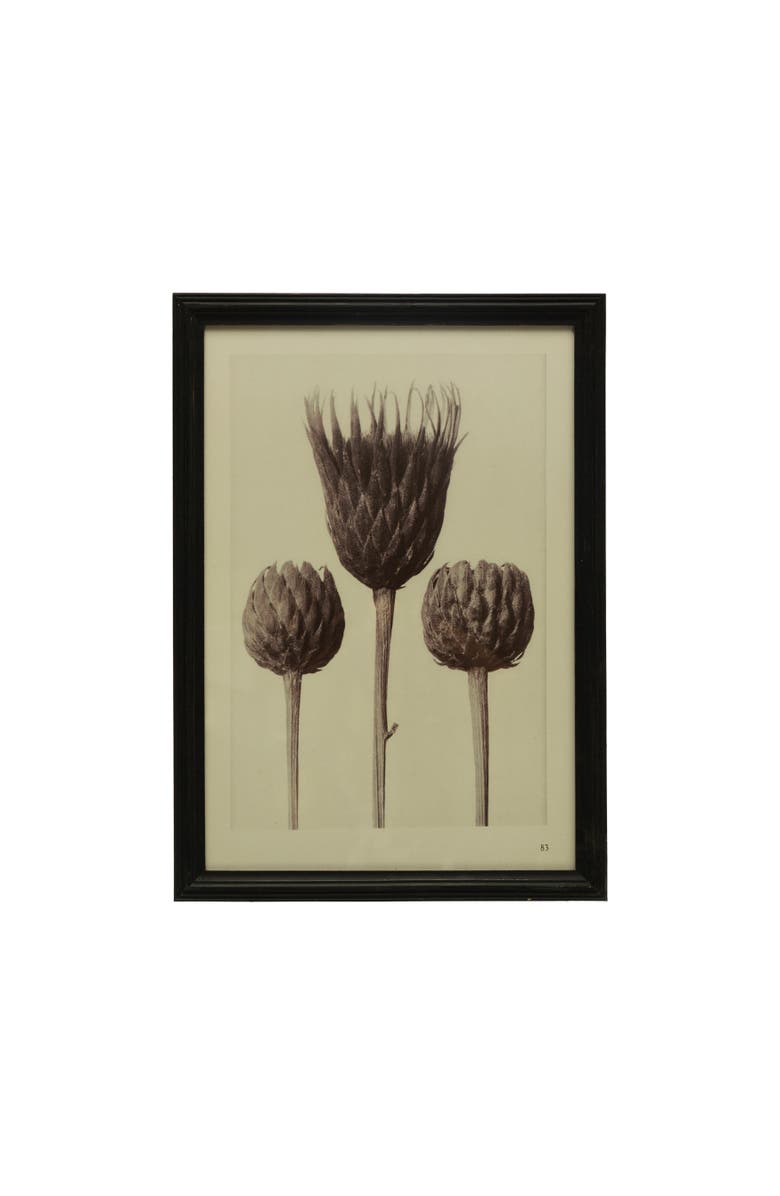 Storied Home Wood Framed Artichoke Print with Glass Cover, Main, color, Black