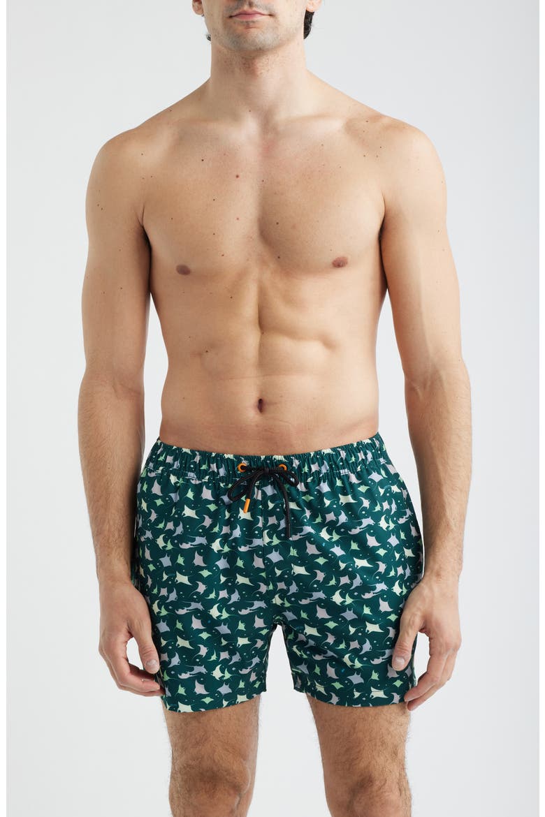 Ademir Swim Trunks, Main, color, MANTE - ANIMAL FREE