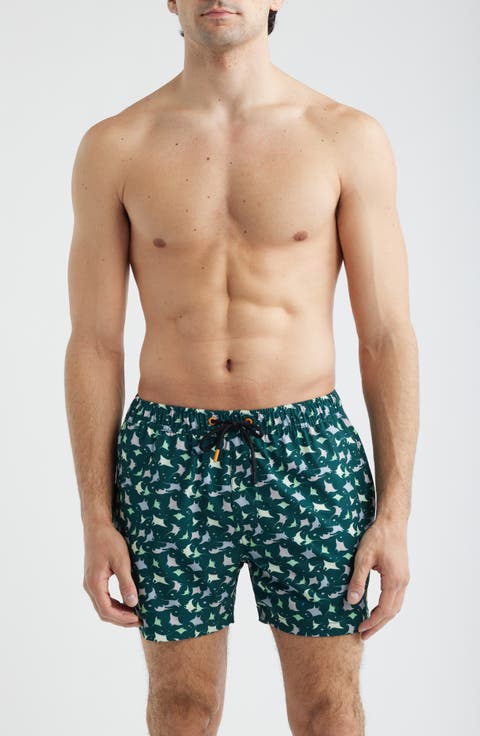 Ademir Swim Trunks