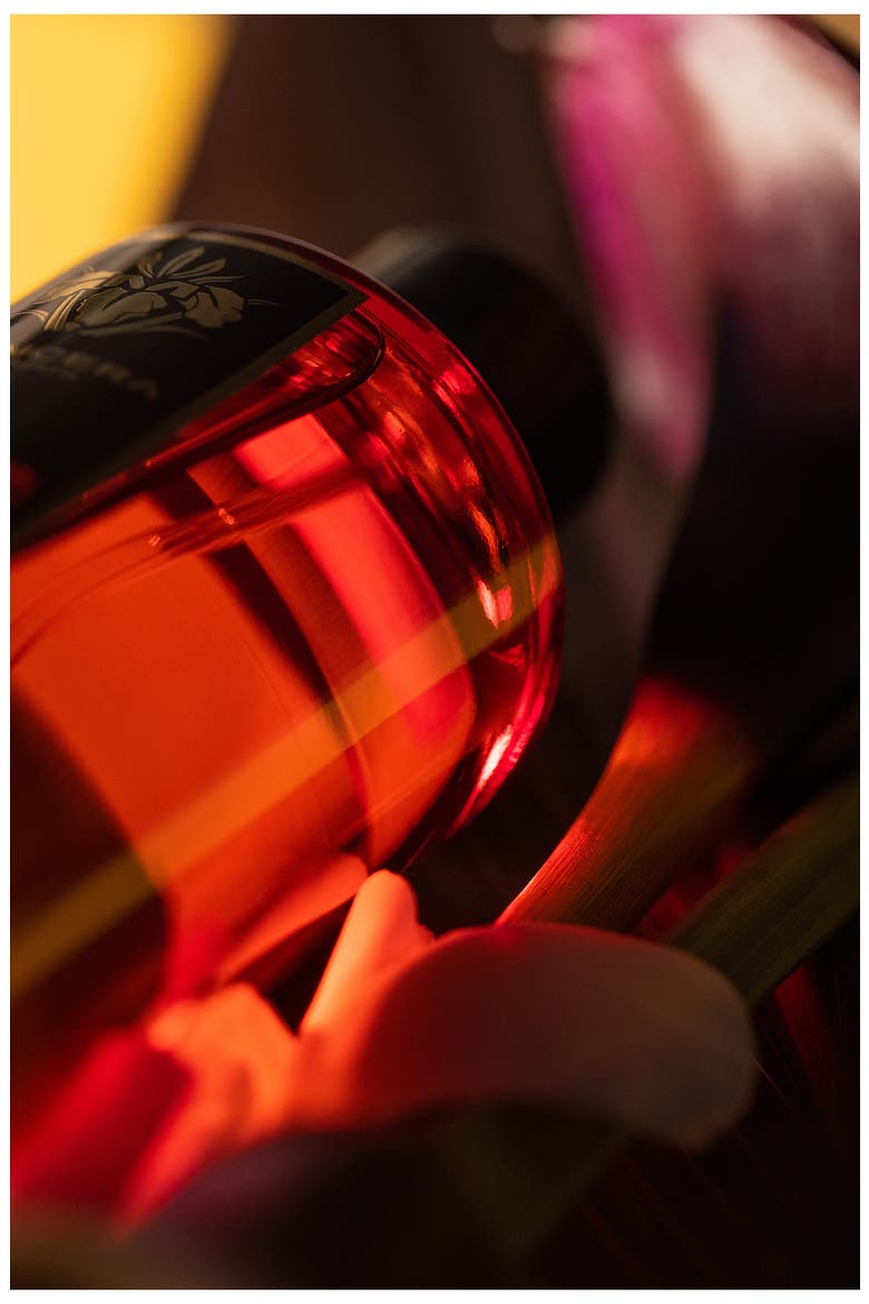 Red Tobacco Eau de Parfum, Alternate, color, NO COLOR