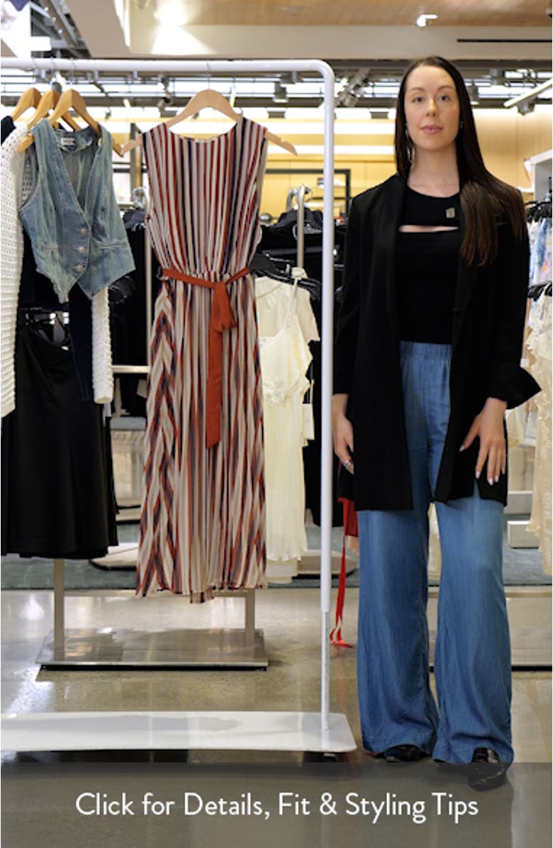 Brandy Stripe Pleated Dress, sales video thumbnail