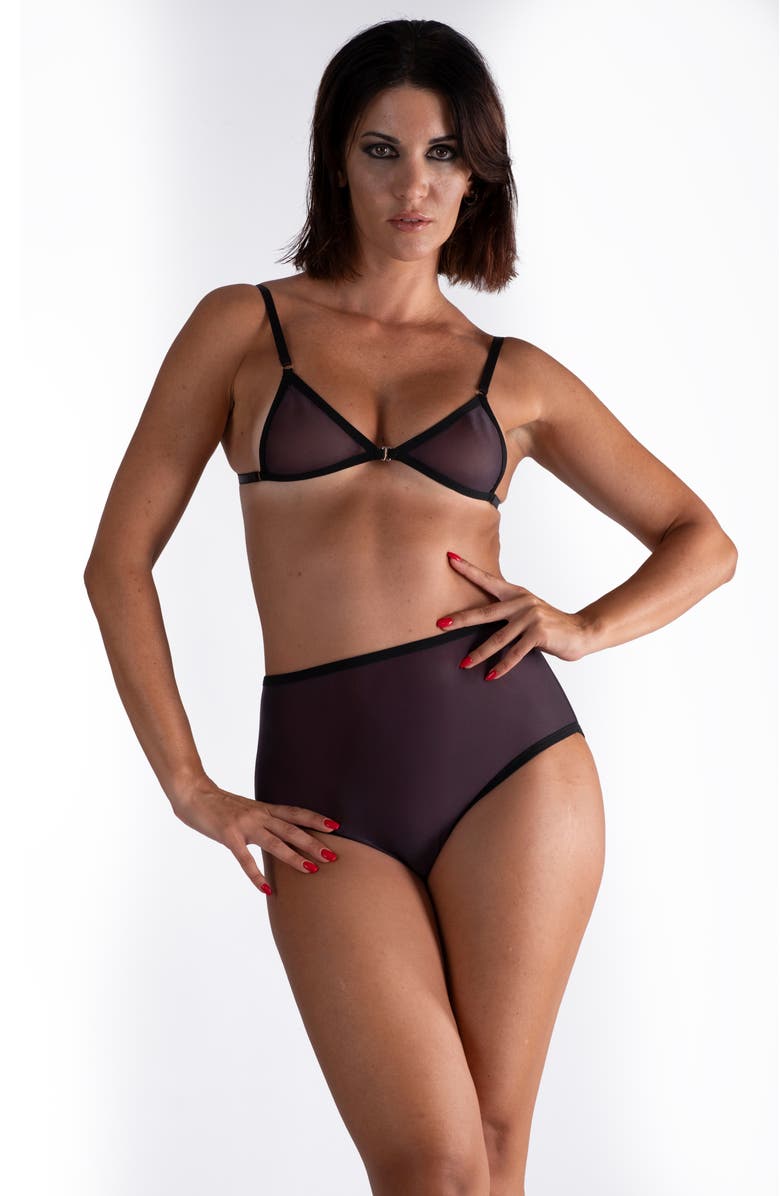 LECHERY<sup>®</sup> Lustrous Sheer High-waisted Brief, Alternate, color, Black