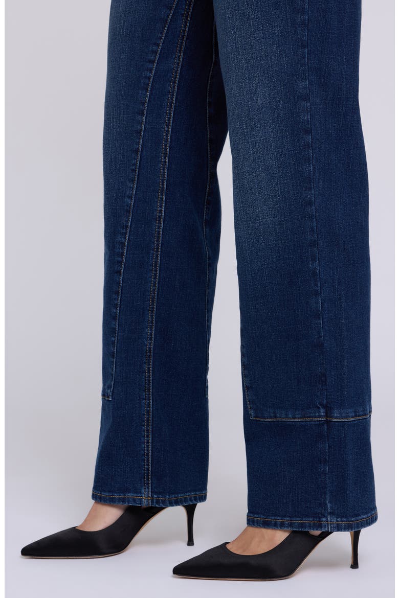 Brooke High Waist Straight Leg Jeans, Alternate, color, SKYLARK