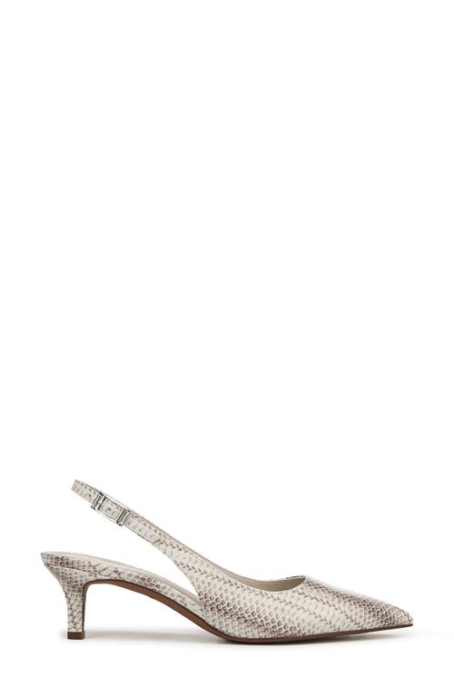 Franco Sarto Kate Slingback Kitten Heel Pump In Grey