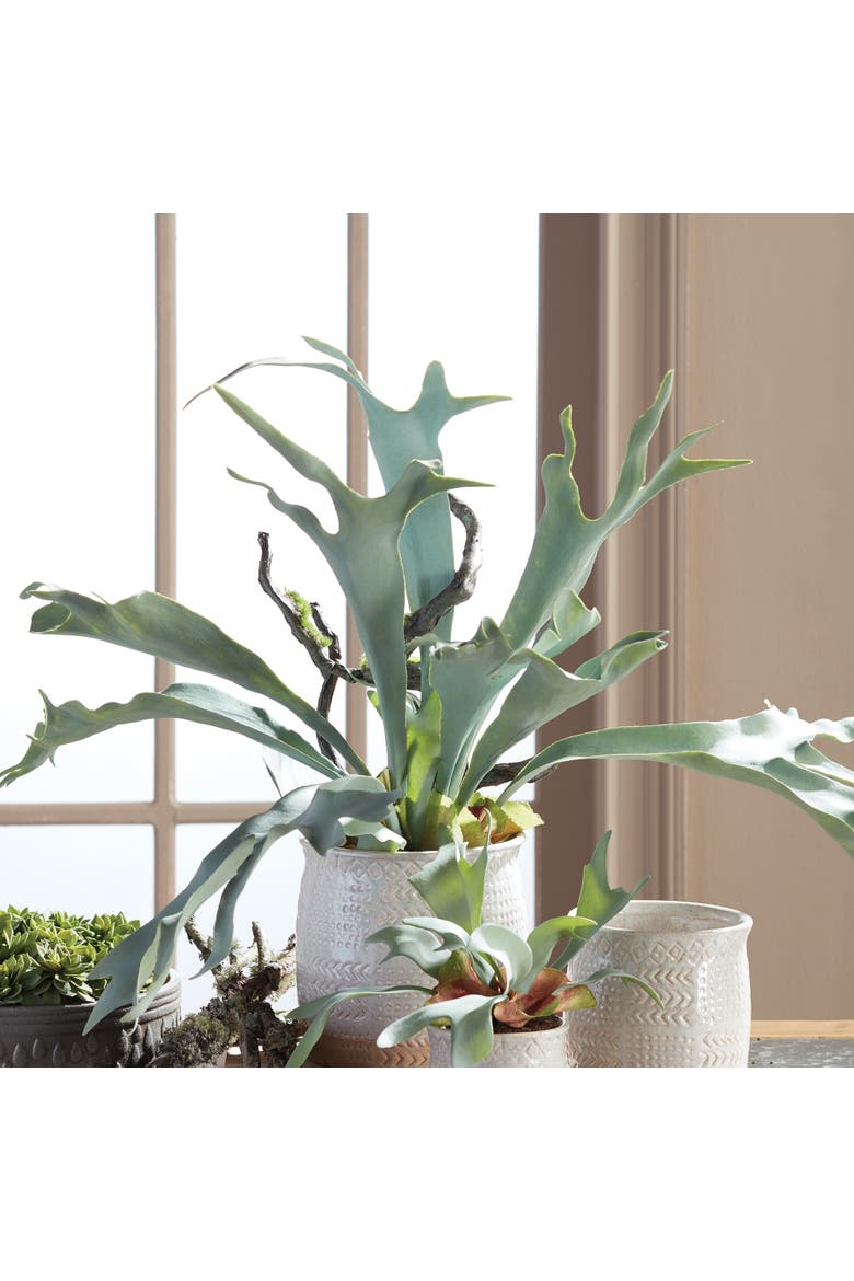 Staghorn Fern Drop-In 22", Alternate, color, Green