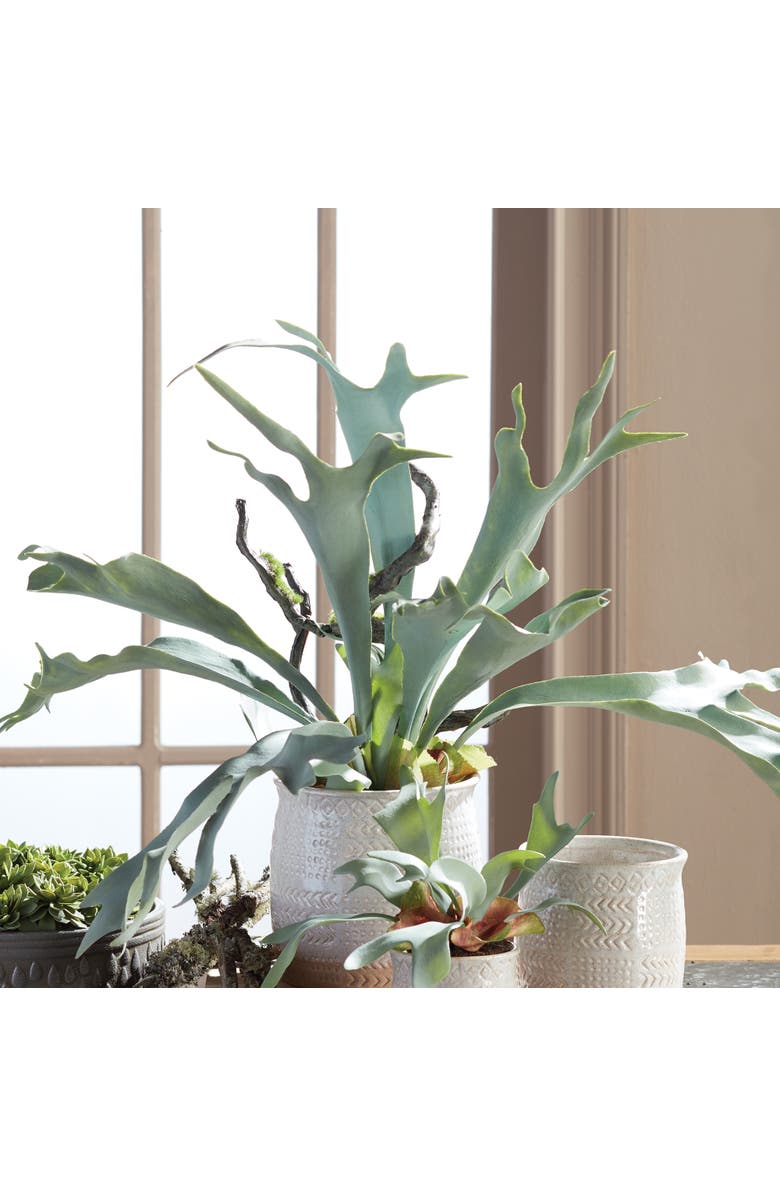Napa Home & Garden Staghorn Fern Drop-In 22", Alternate, color, 