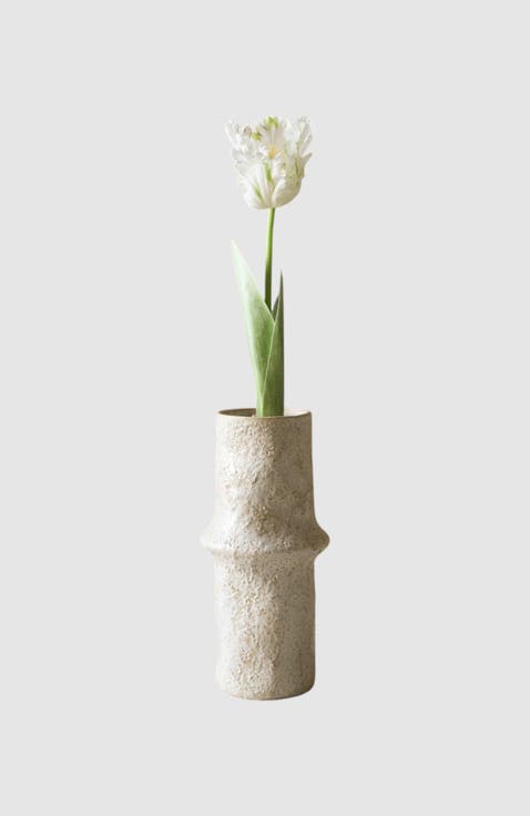 White Parrot Tulip Flower