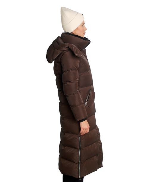 Woodpecker Bird Of Paradise Quilted Coat In Brown