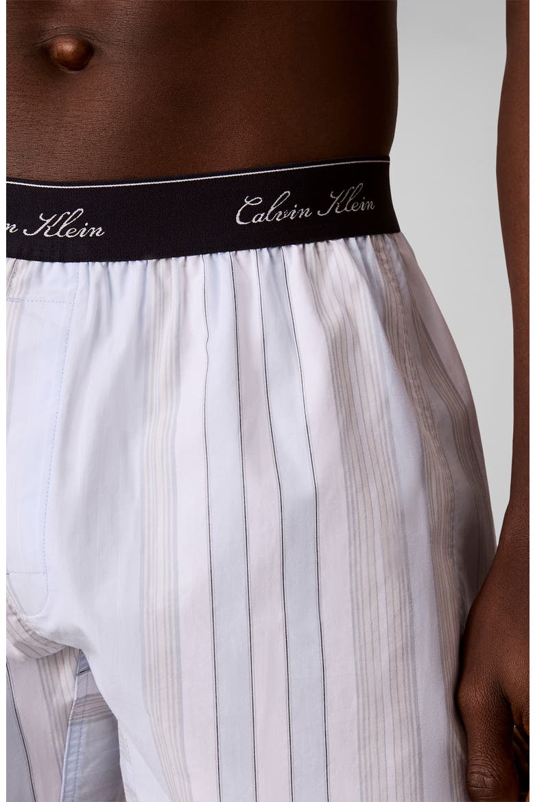 Logo Cotton Poplin Boxers, Alternate, color, CREST STRIPE ICE CASTLE