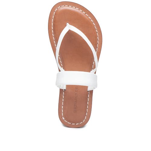 BERNARDO FOOTWEAR BERNARDO FOOTWEAR LEIA THONG SANDAL